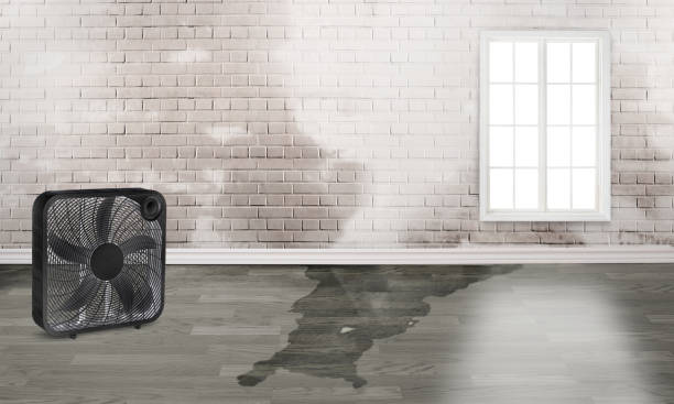 Best Water damage restoration company  in Lancaster, OH