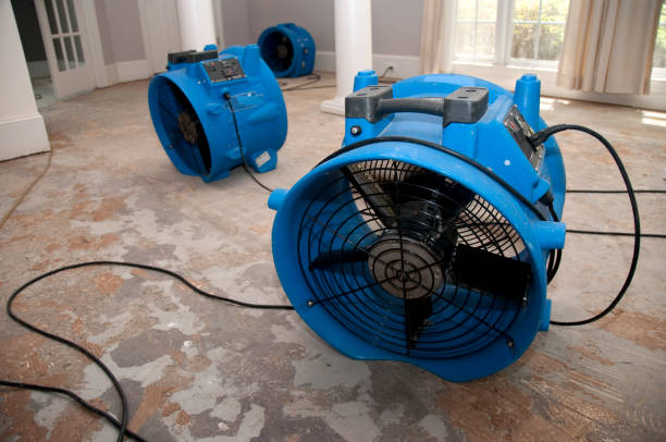 Best Sewage cleanup and water damage restoration  in Lancaster, OH