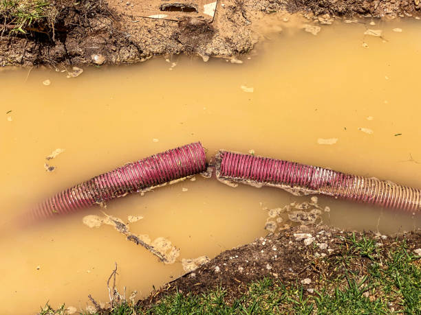 Best Mold removal after water damage  in Lancaster, OH